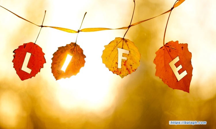 الحياة.. إيقاع!